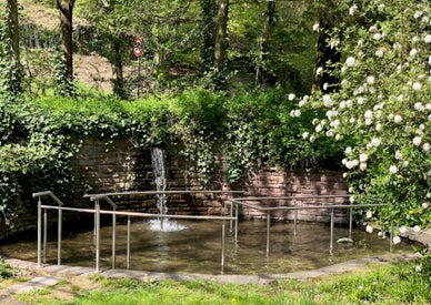 tretbecken-standard.jpg