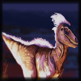 2023 Training raptor
