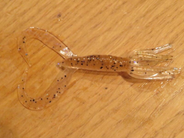 Little Spider 2"