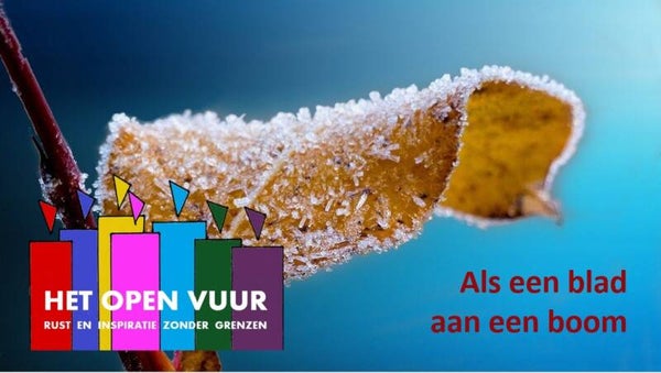 44. Als een blad aan een boom