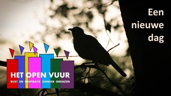 47. Een nieuwe dag