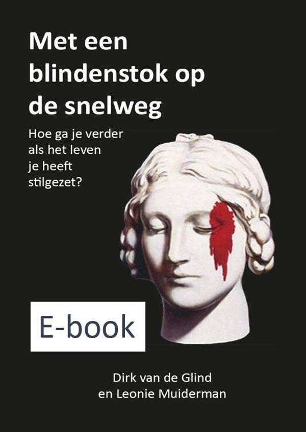 Met een blindenstok op de snelweg (E-book)
