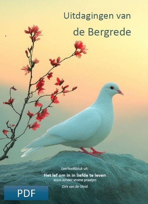 Uitdagingen van de Bergrede