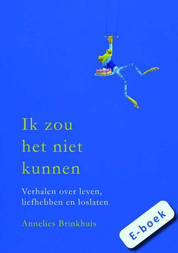Ik zou het niet kunnen (E-boek)