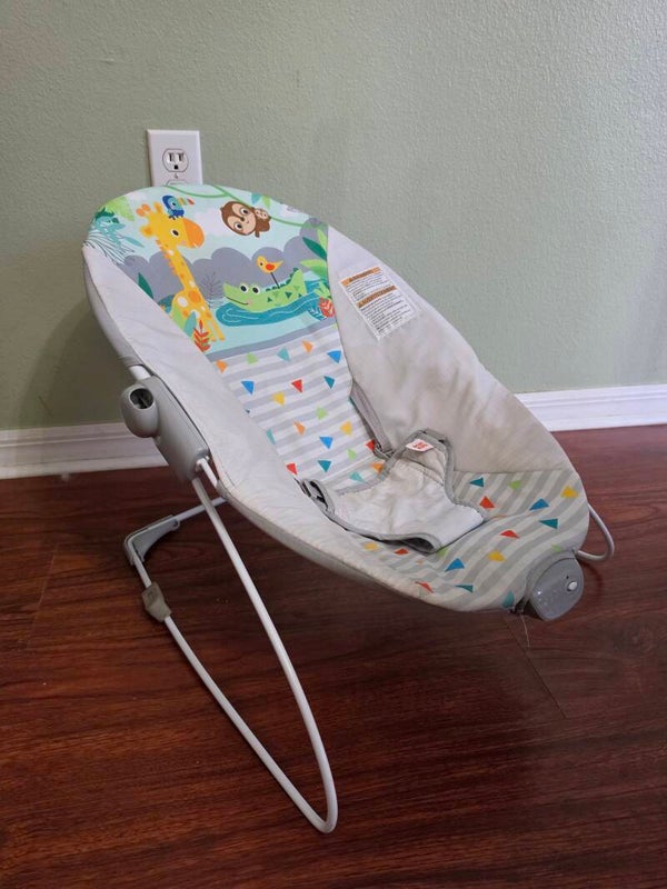Baby Bouncer