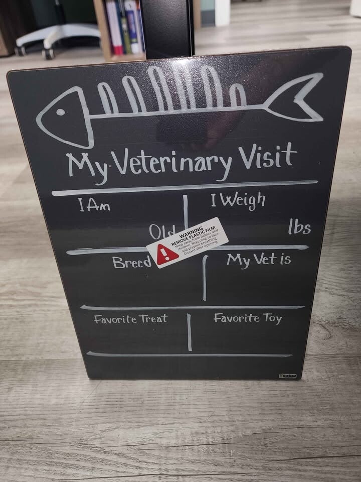 My First Veterinary Visit (Cat)