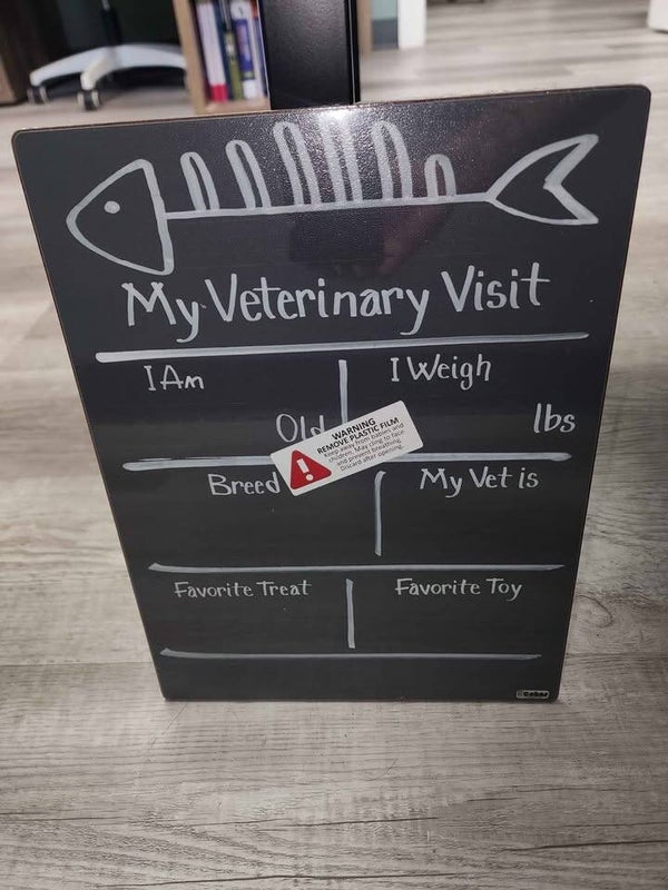 My First Veterinary Visit (Cat)