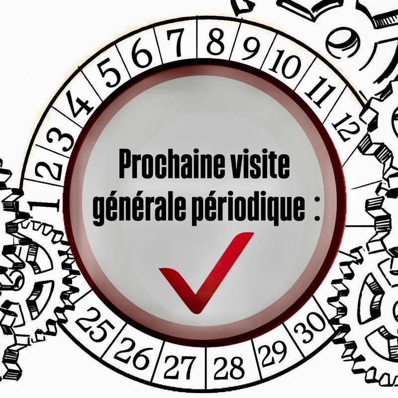Inspection VGP hayon
