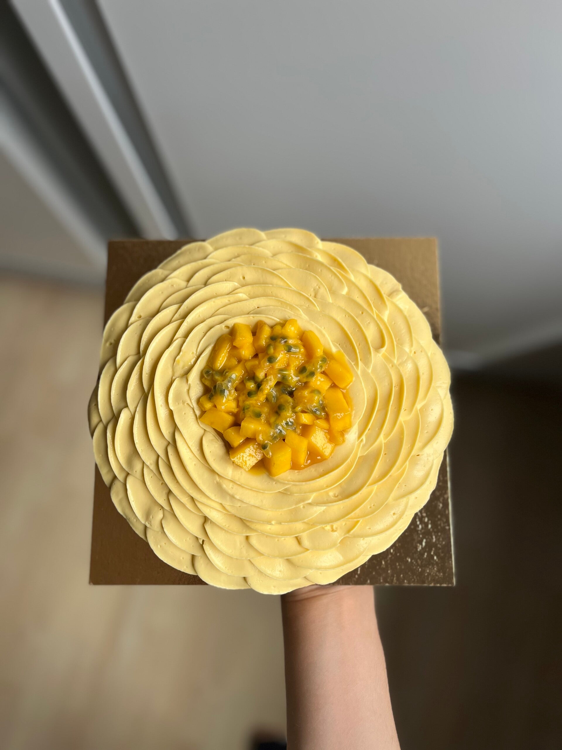 img_8734-standard.jpg