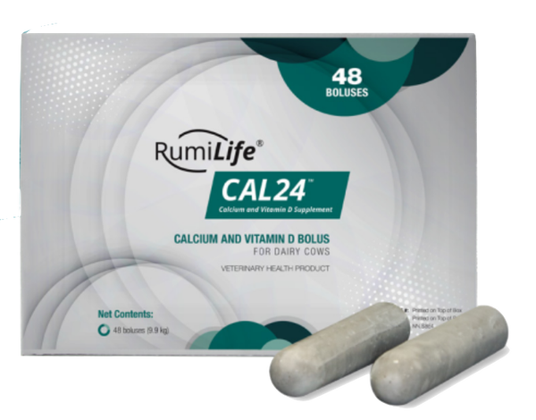RumiLife®  CAL24 Calcium Boluses