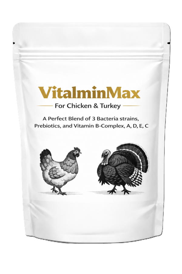 VitalminMax Poultry Gut Health