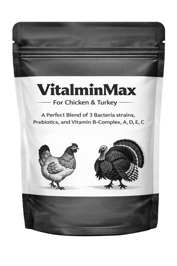 VitalminMax Gut Health