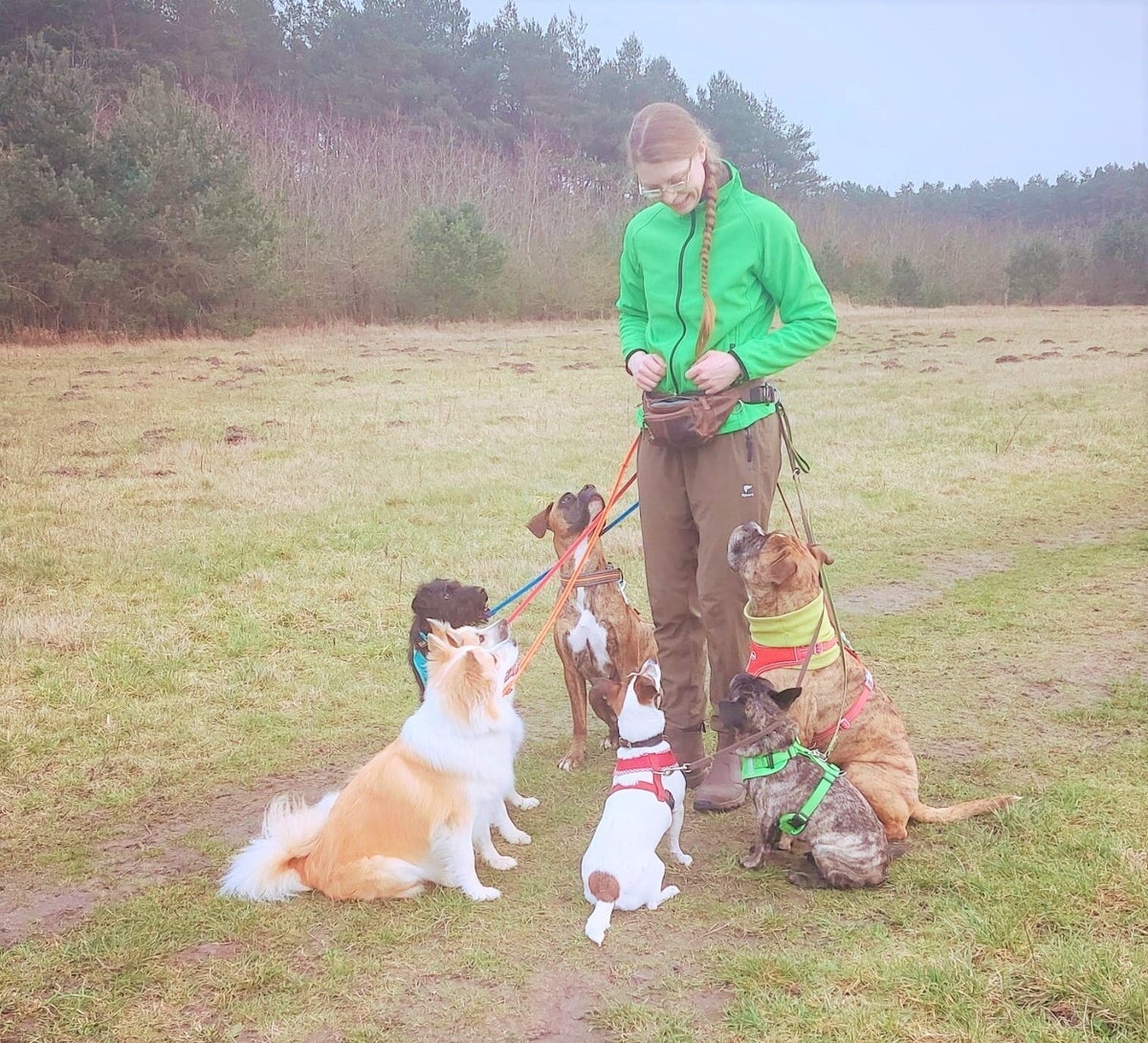 Gassi Service / Spazieren Gehen Mit Meinem Hund – QXBGD