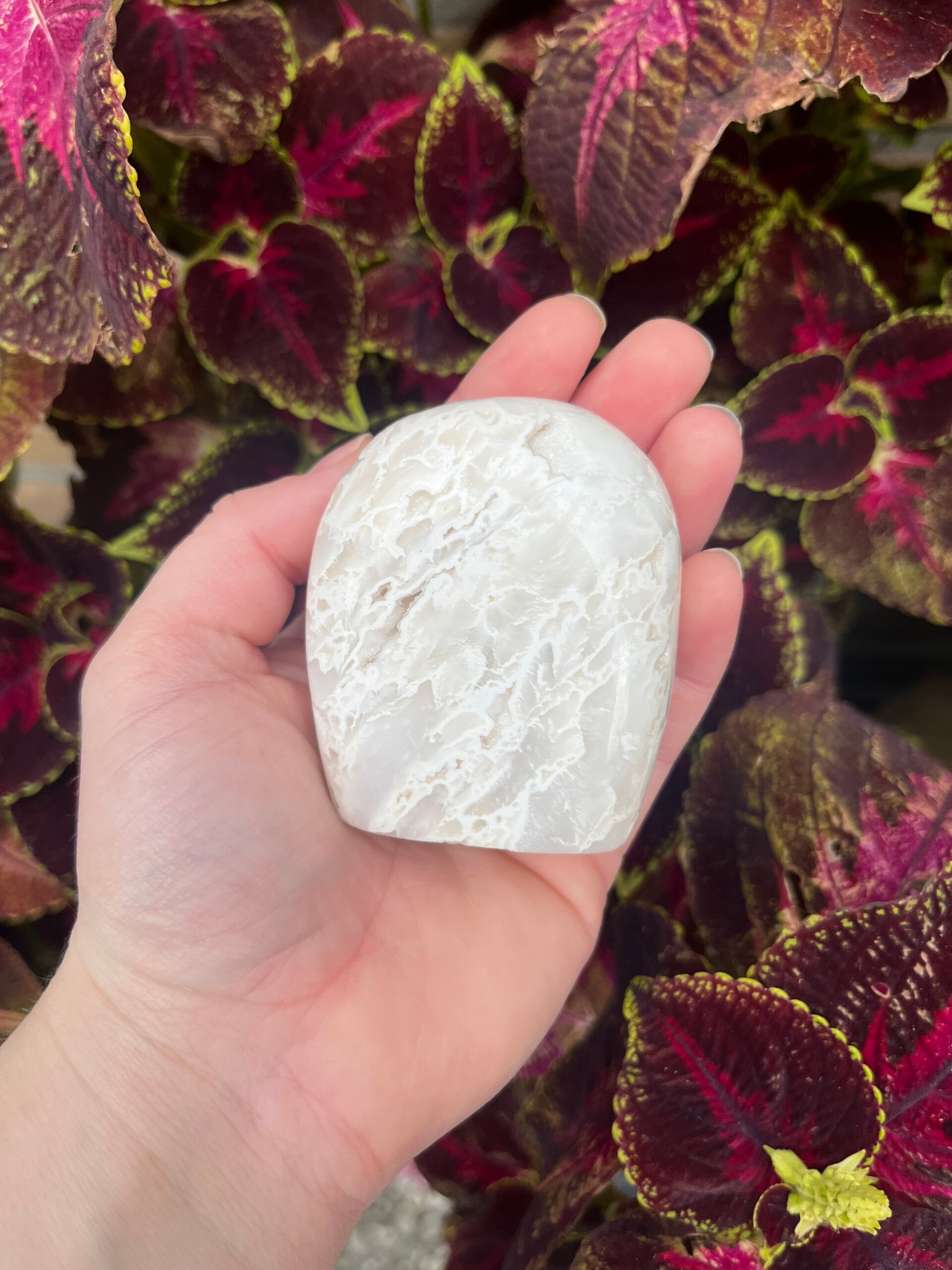 Sneeuwagaat sculptuur