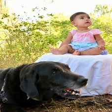 usha13-standard-wwq16p.jpg