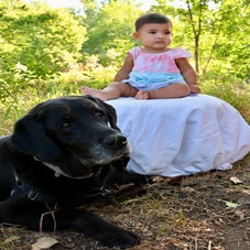 usha25-standard-qrzrwe.jpg
