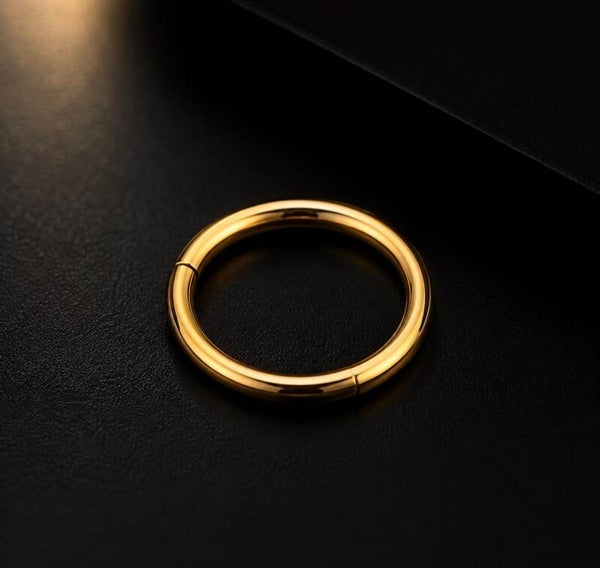Titanium Hinged Ring 20g Gold