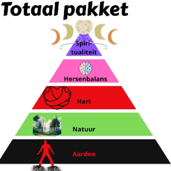 Totaalpakket van alle stappen twv 6 uur