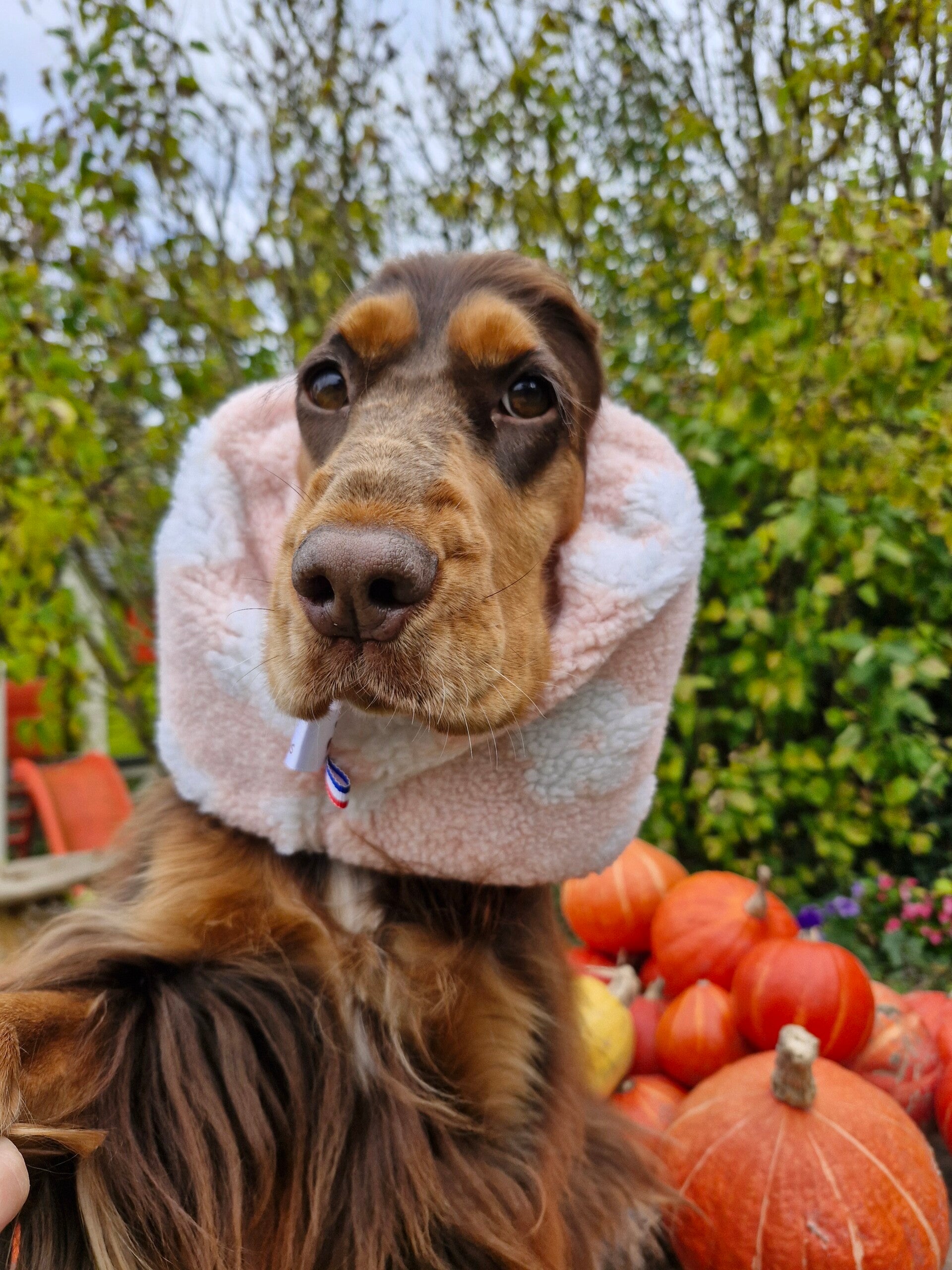 Snood cocker en sherpa à fleurs 🌸