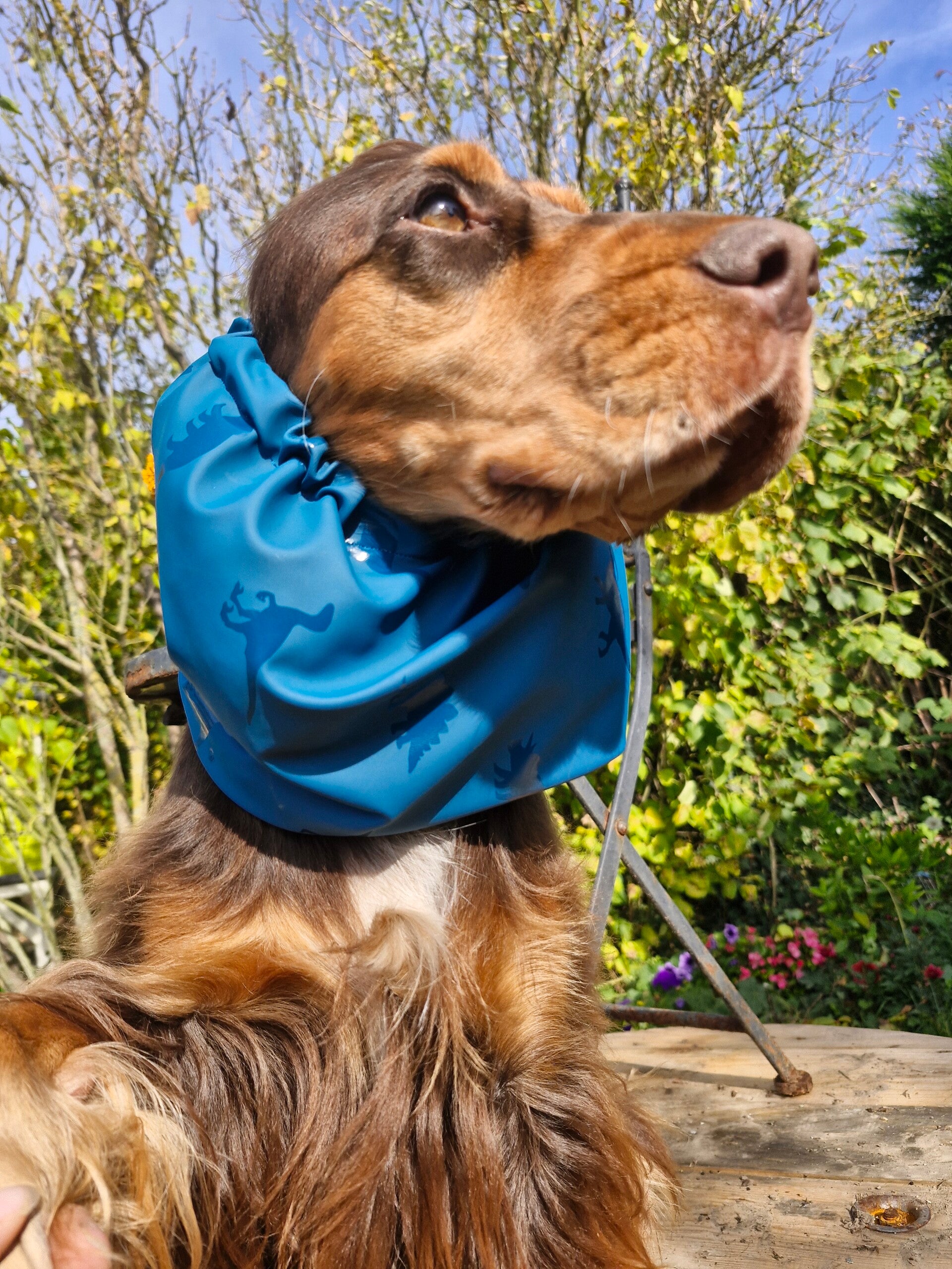 Snood cocker imperméable dinosaures bleu 💙