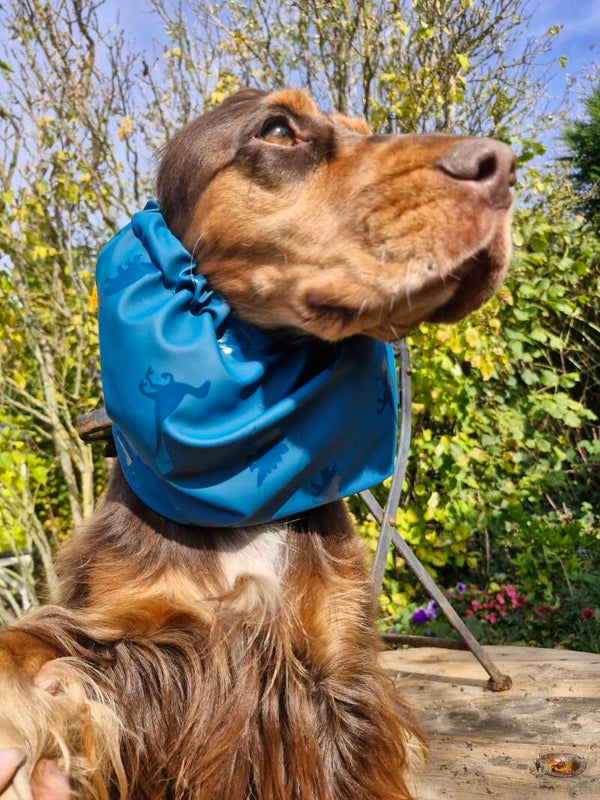 Snood cocker imperméable dinosaures bleu 💙