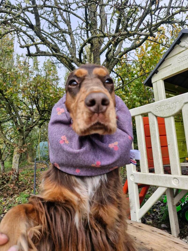 Snood en softshell