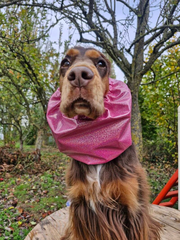 Snood cocker imperméable à paillettes