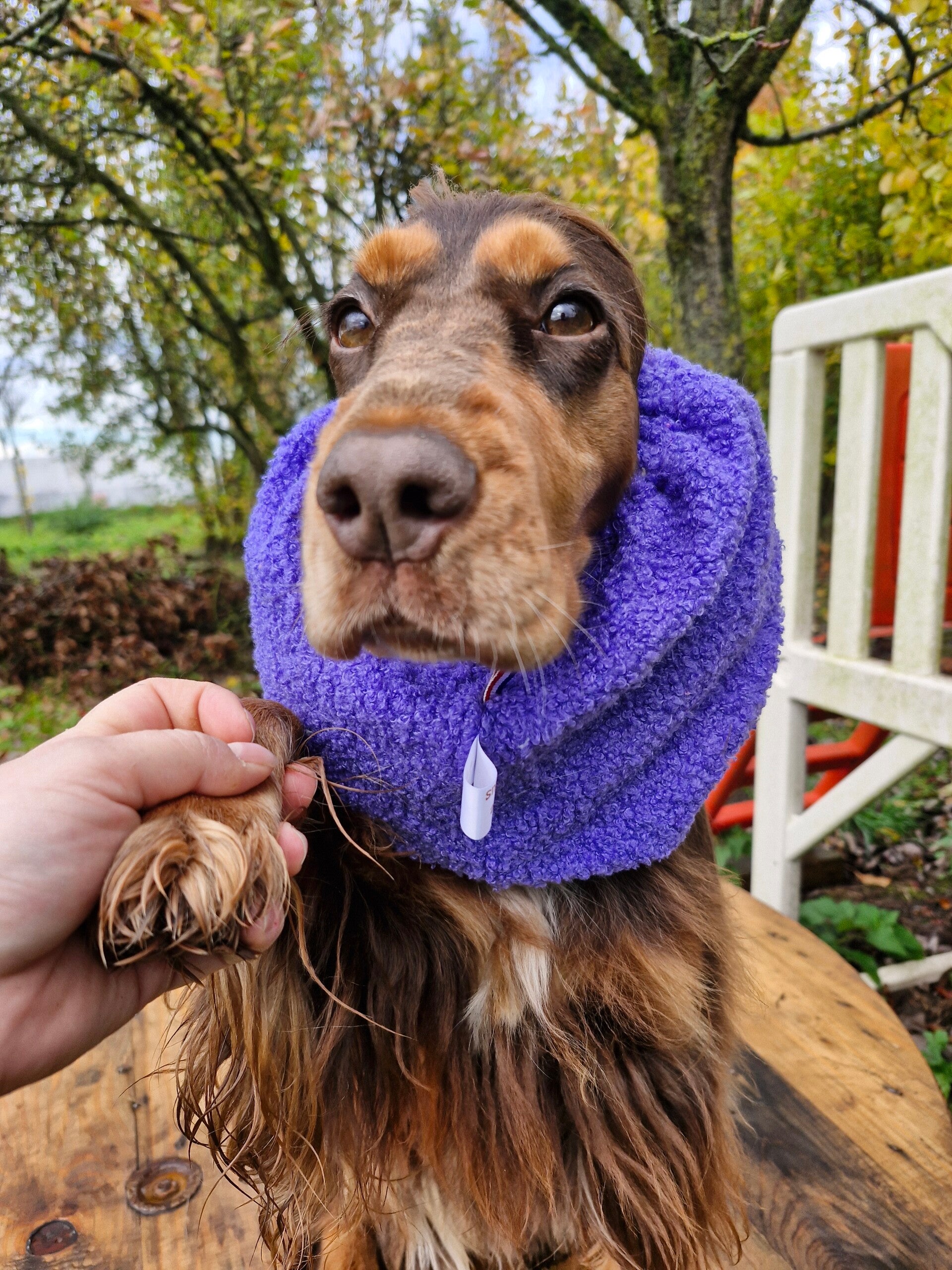 Snood cocker en bouclettes