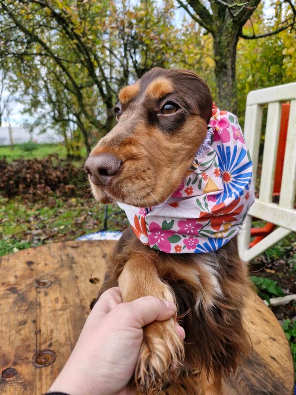 Snood imperméable à fleurs 🌸