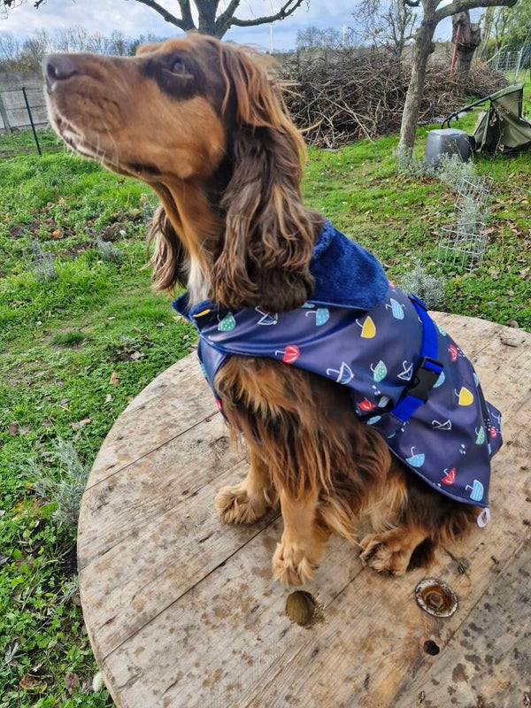 Manteau chien imperméable ☔️