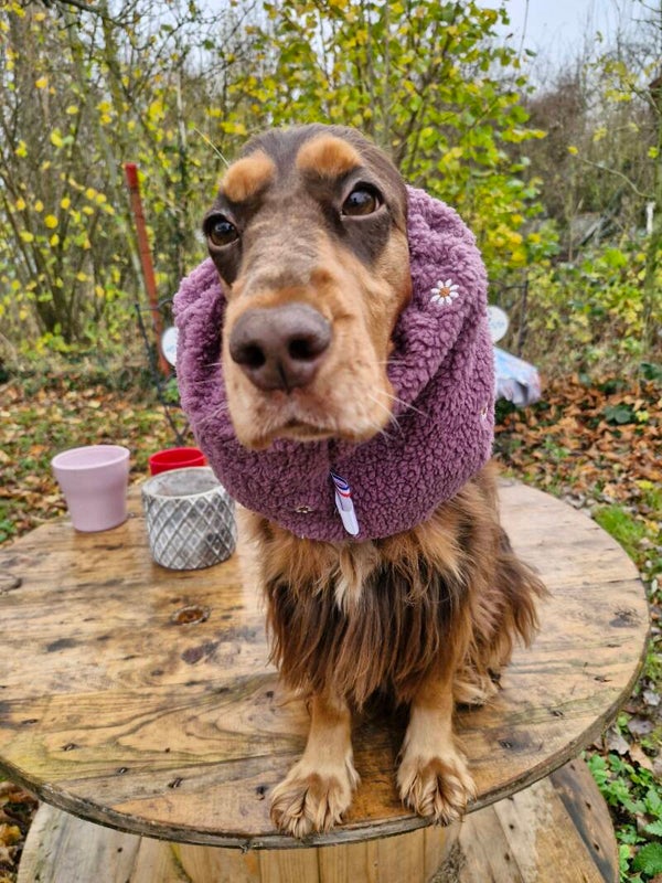 Snood en sherpa à fleurs 🌸