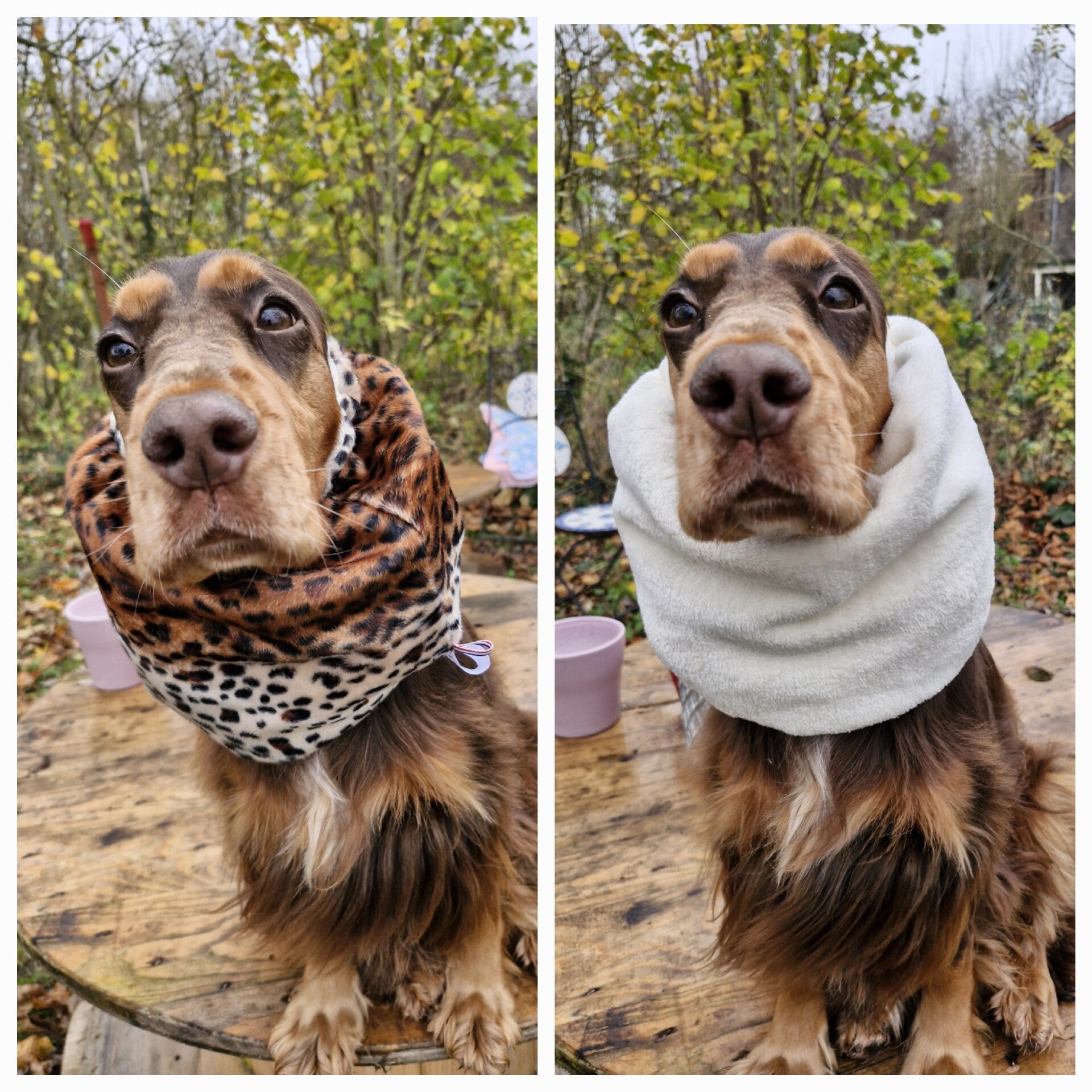 Snood en fausse fourrure léopard,  doublé polaire