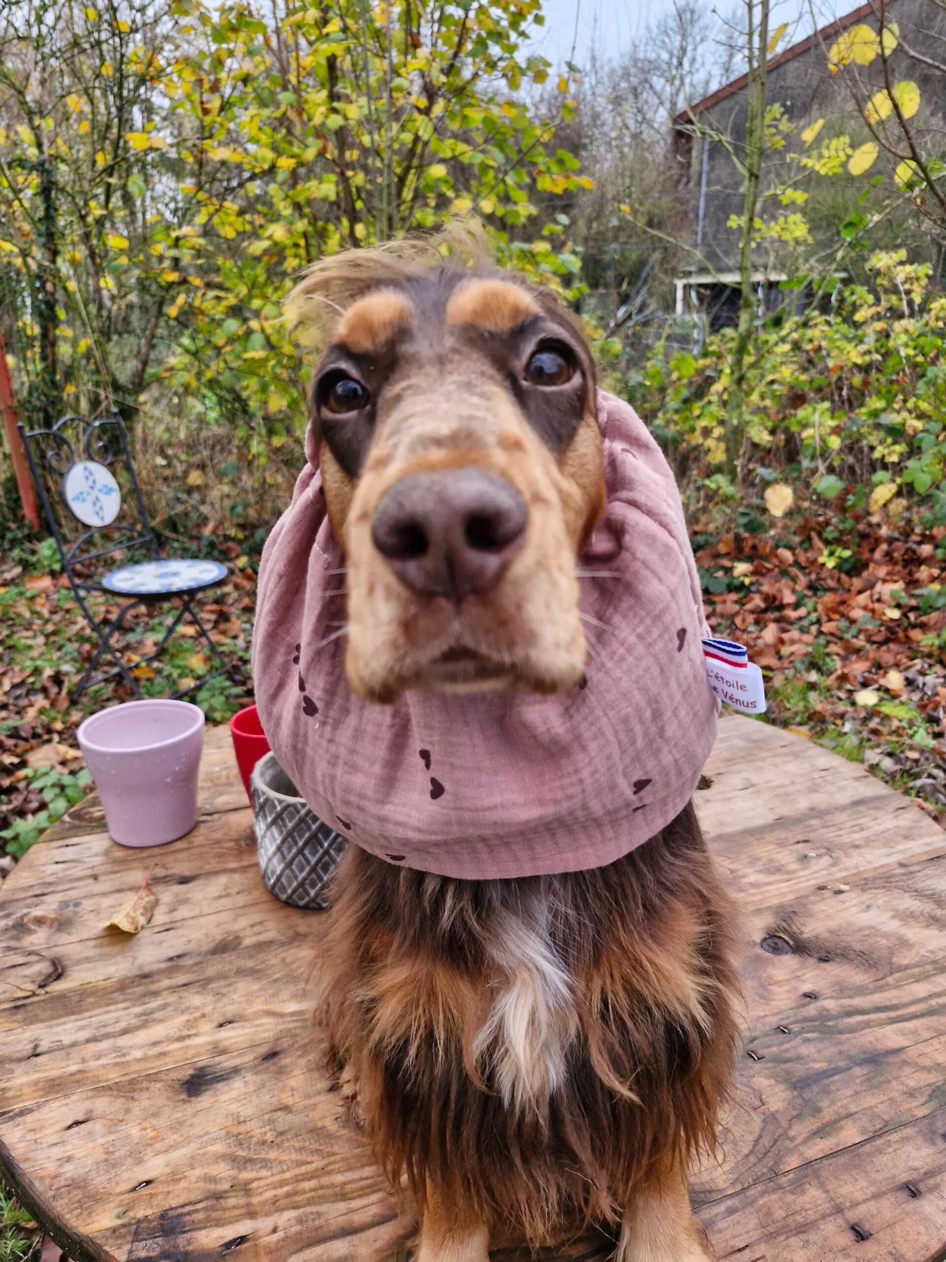 Snood en double gaze de coton