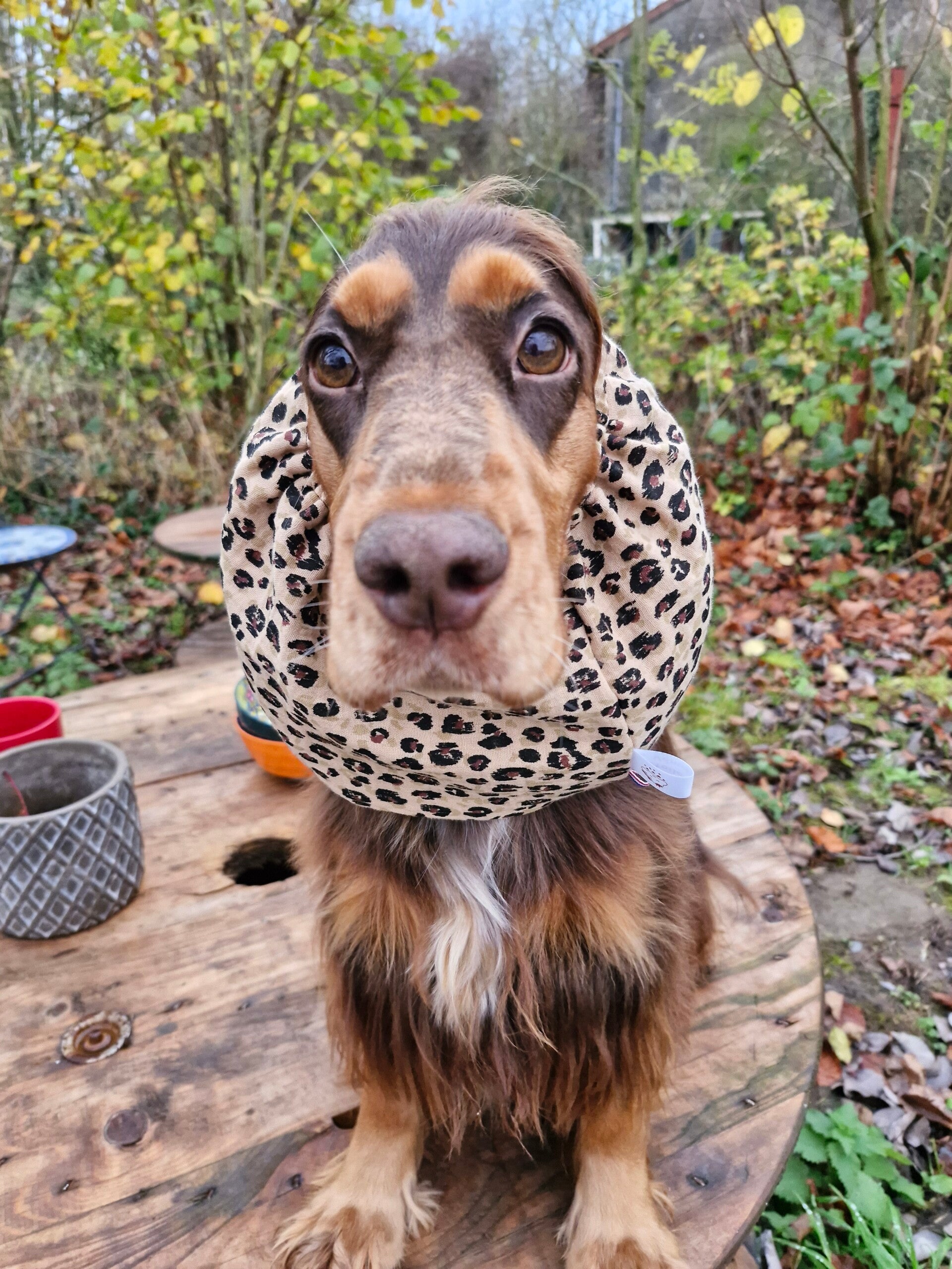 Snood cocker en double gaze de coton léopard