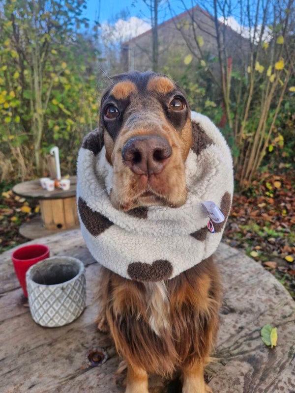 Snood en sherpa 🤎