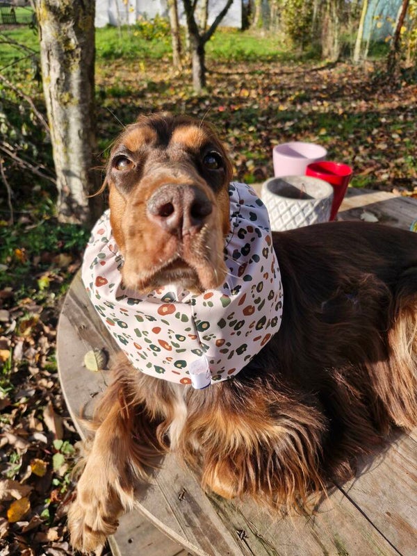 Snood cocker imperméable léopard 🐆