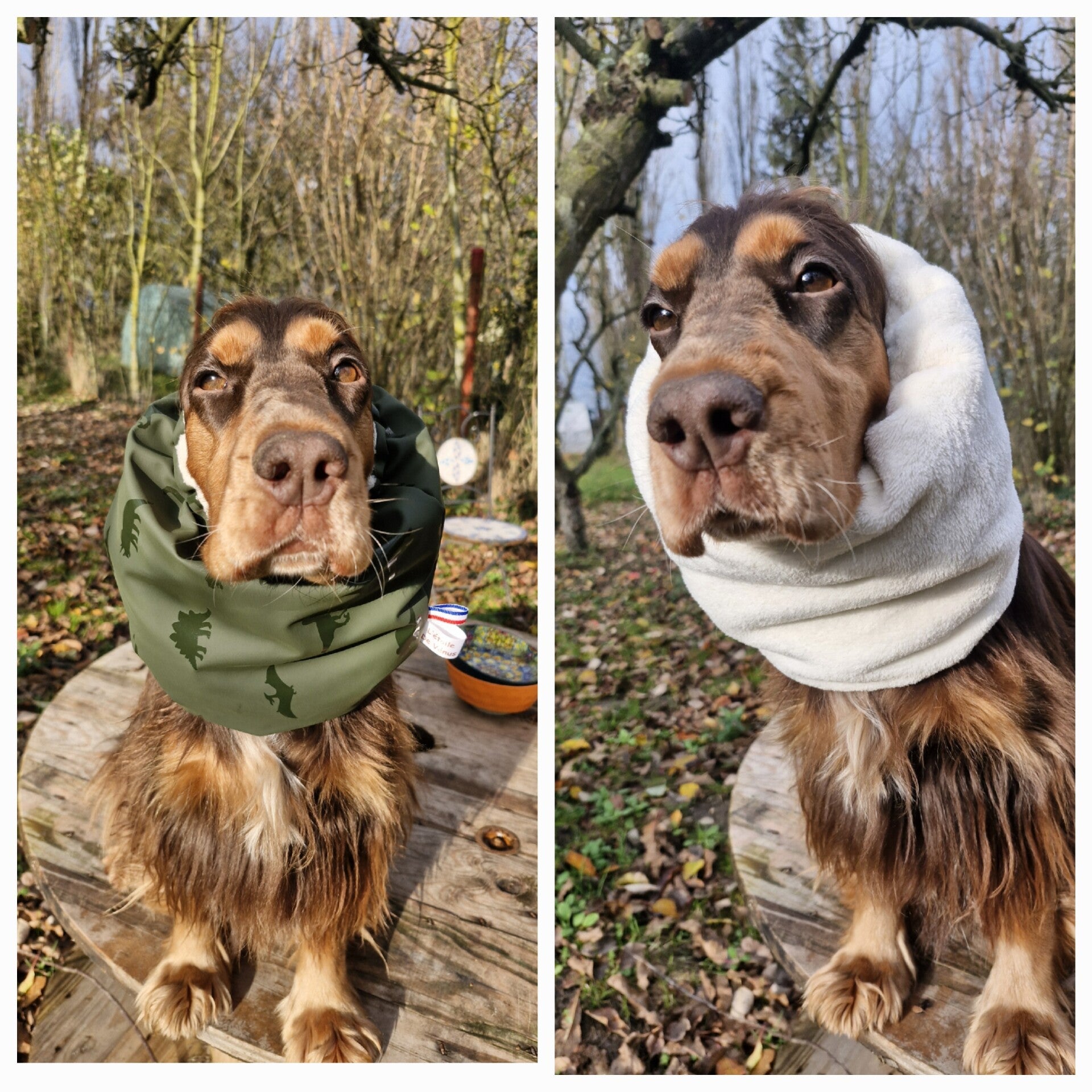 Snood imperméable dinosaures doublé 💚