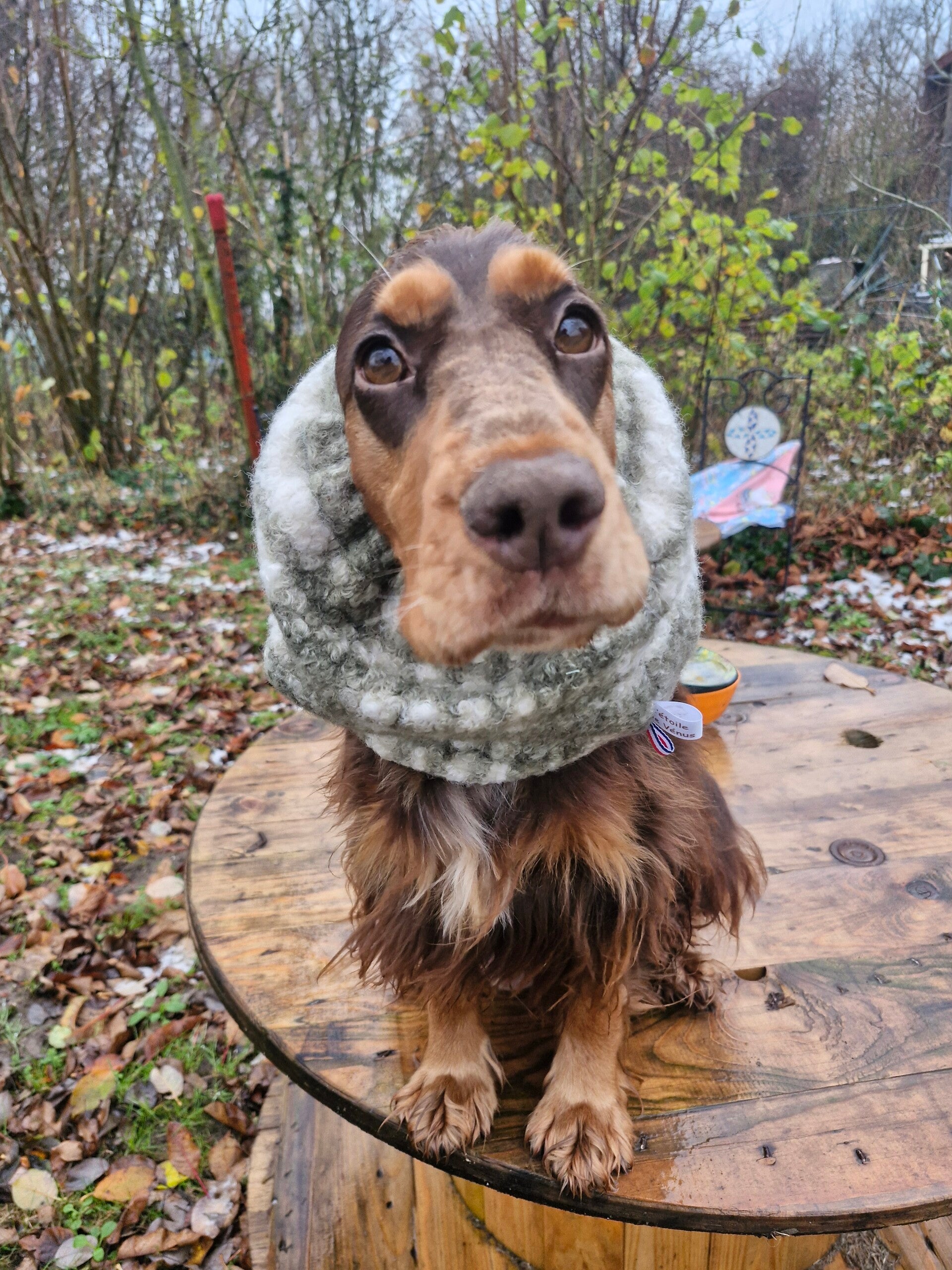 Snood en sherpa tartan