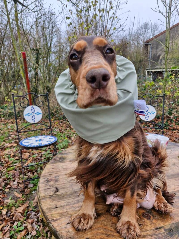 Snood cocker imperméable sauge
