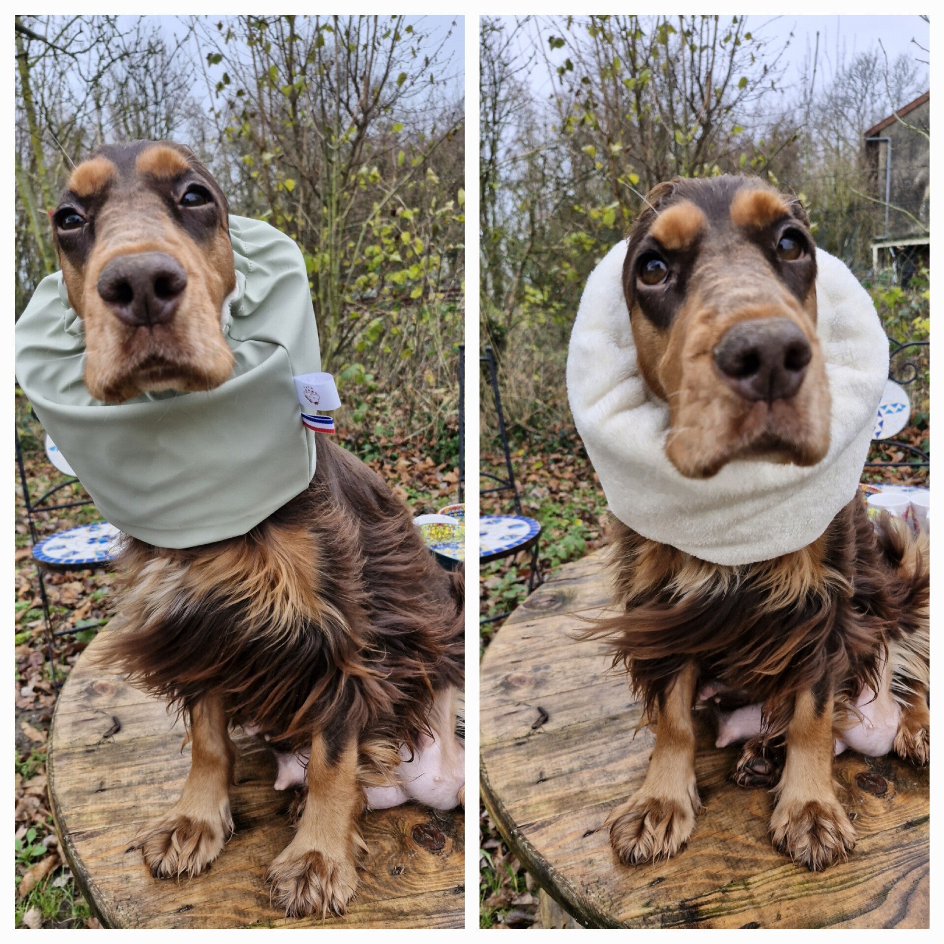 Snood imperméable sauge Doublé polaire