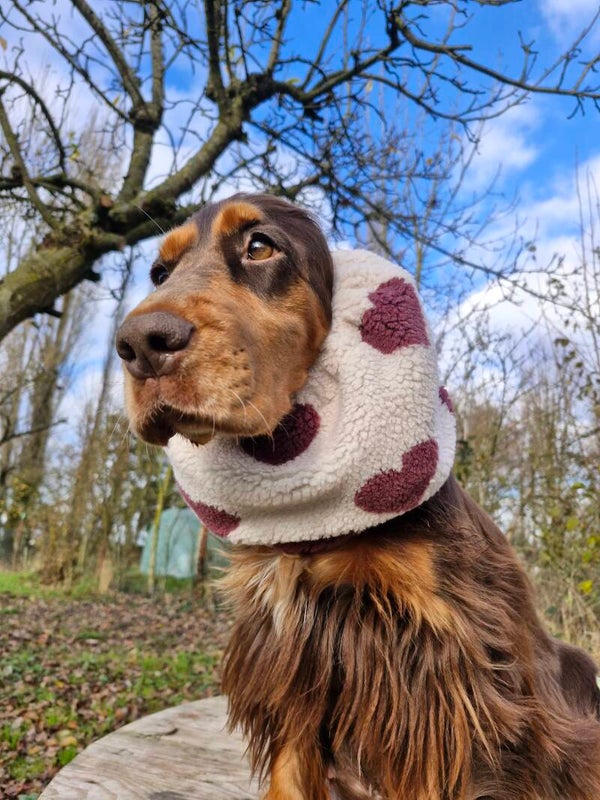 Snood en sherpa à coeurs