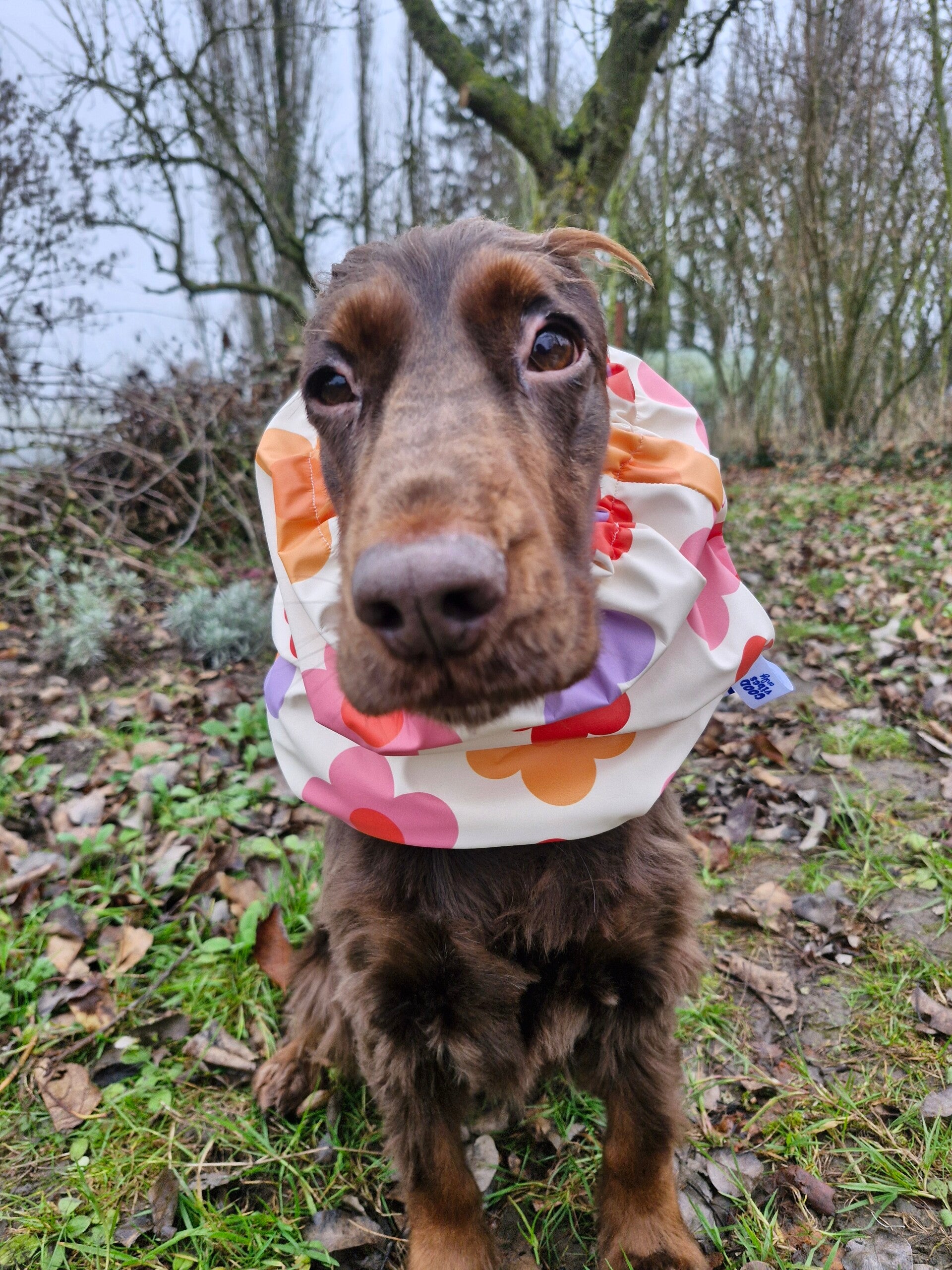 Snood cocker imperméable fleurs 🌸