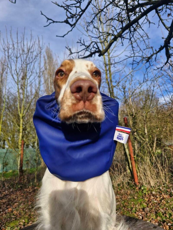 Snood cocker imperméable bleu 💙
