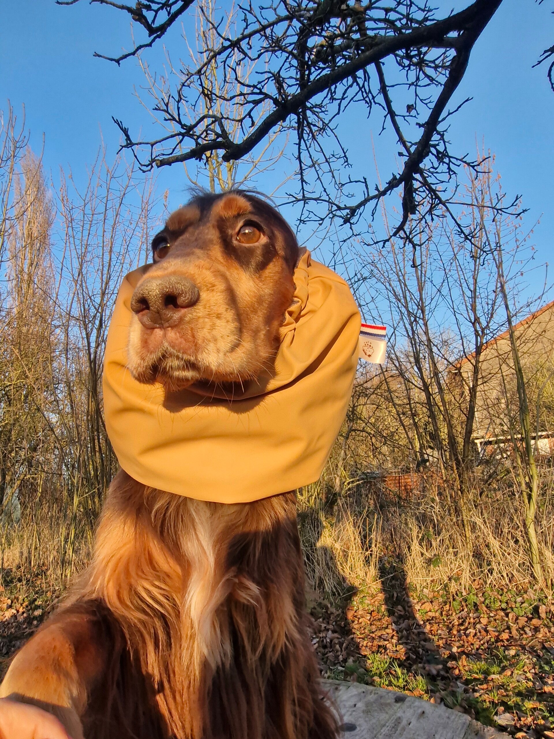 Snood cocker imperméable camel