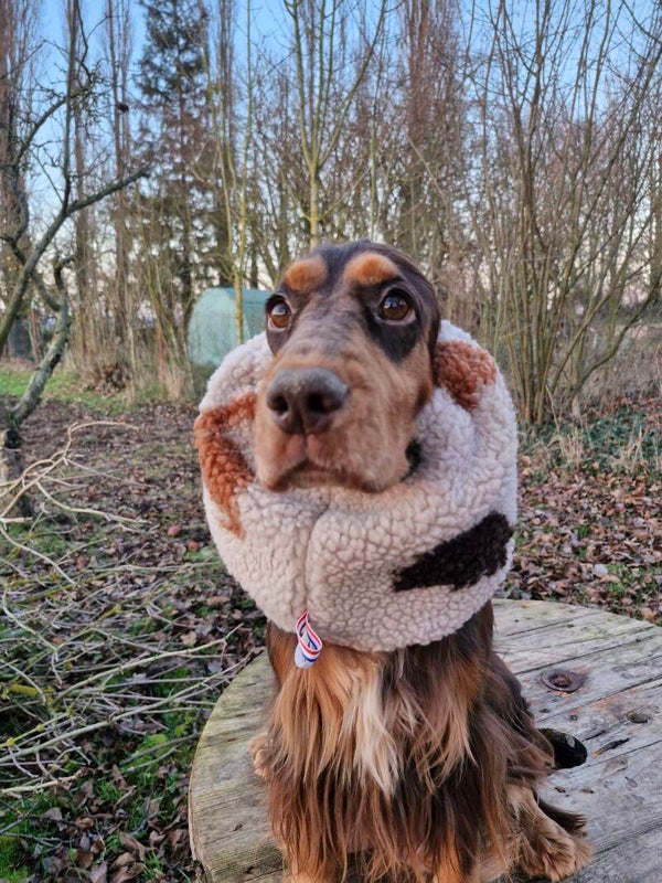 Snood en sherpa dinausores