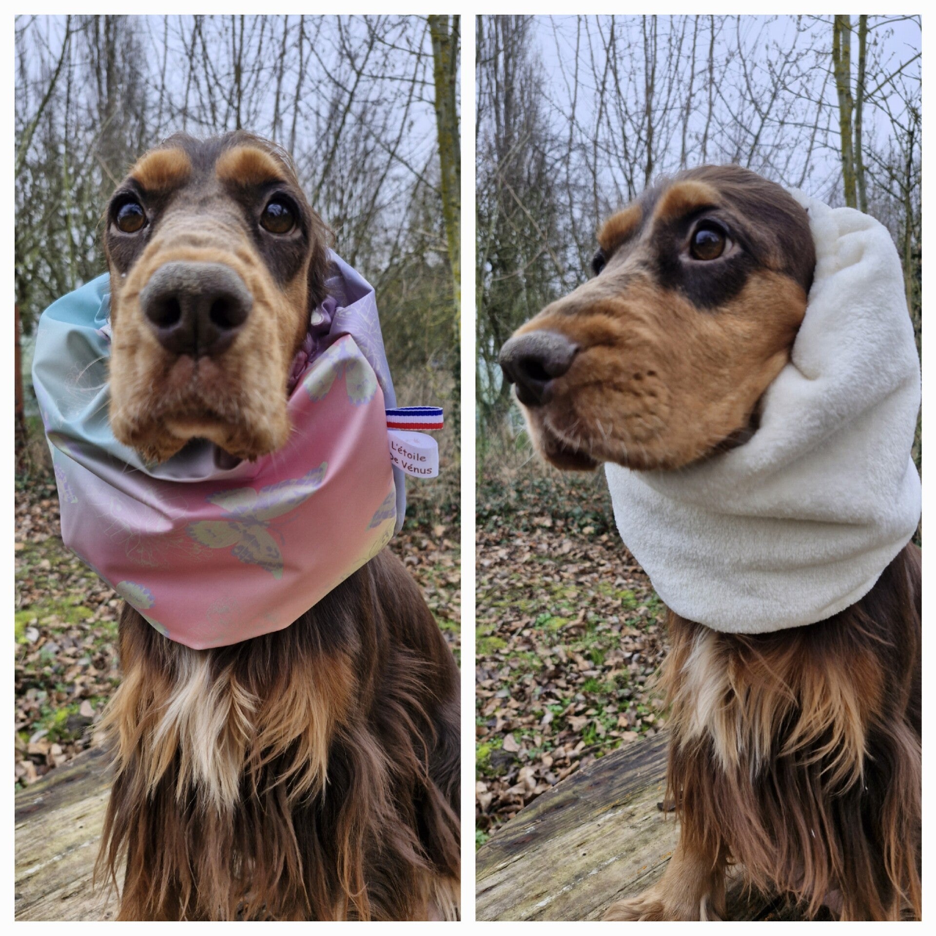 Snood imperméable 🦋