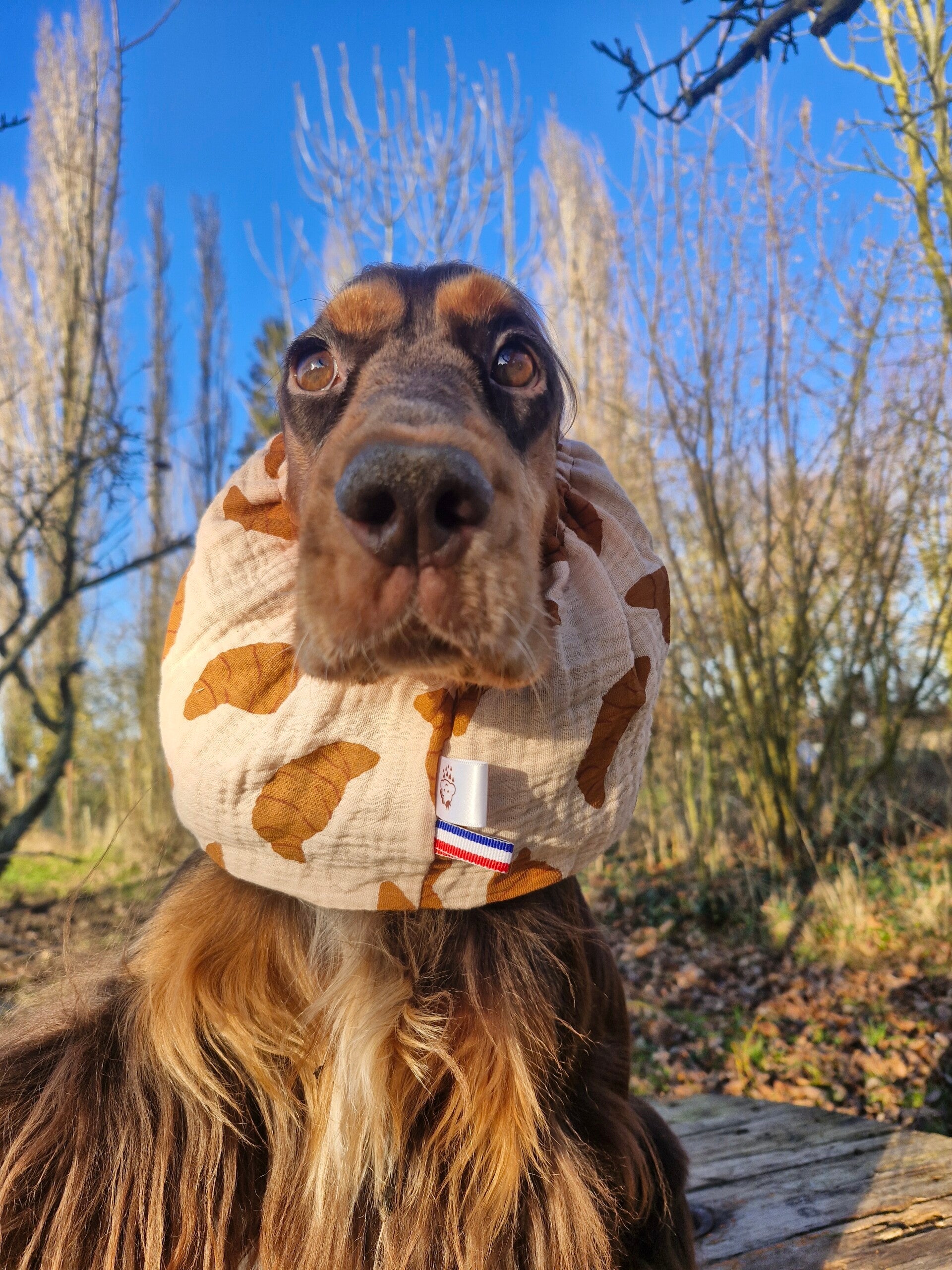 Snood en double gaze de coton croissant 🥐