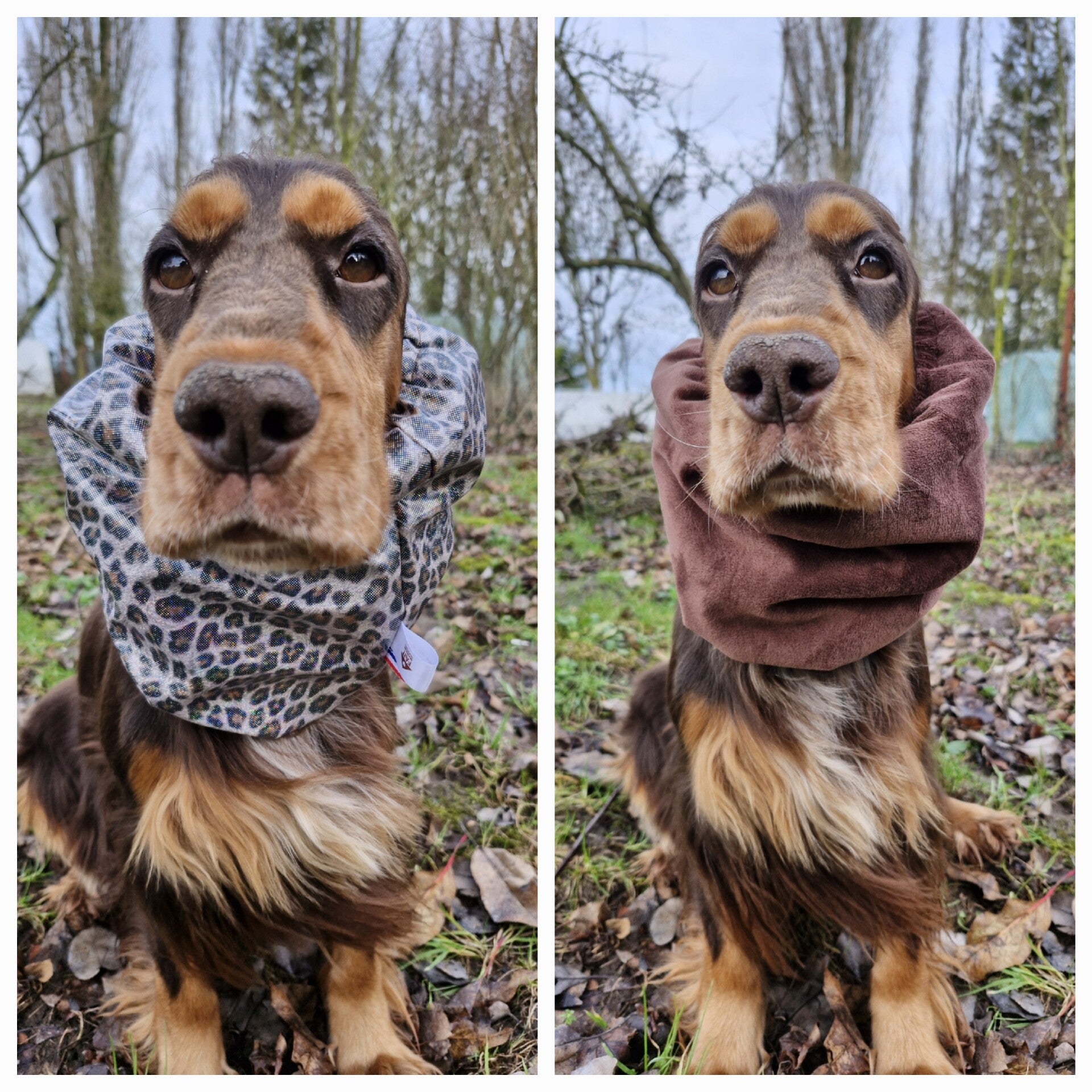 Snood imperméable léopard à paillettes doublé mimky lisse