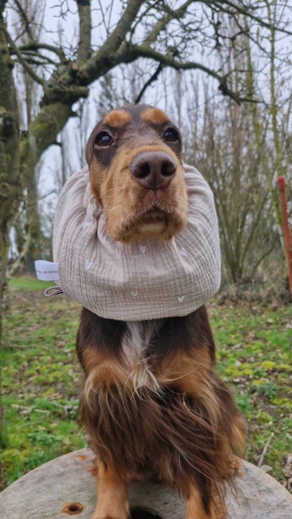 Snood en double gaze de coton 🤍