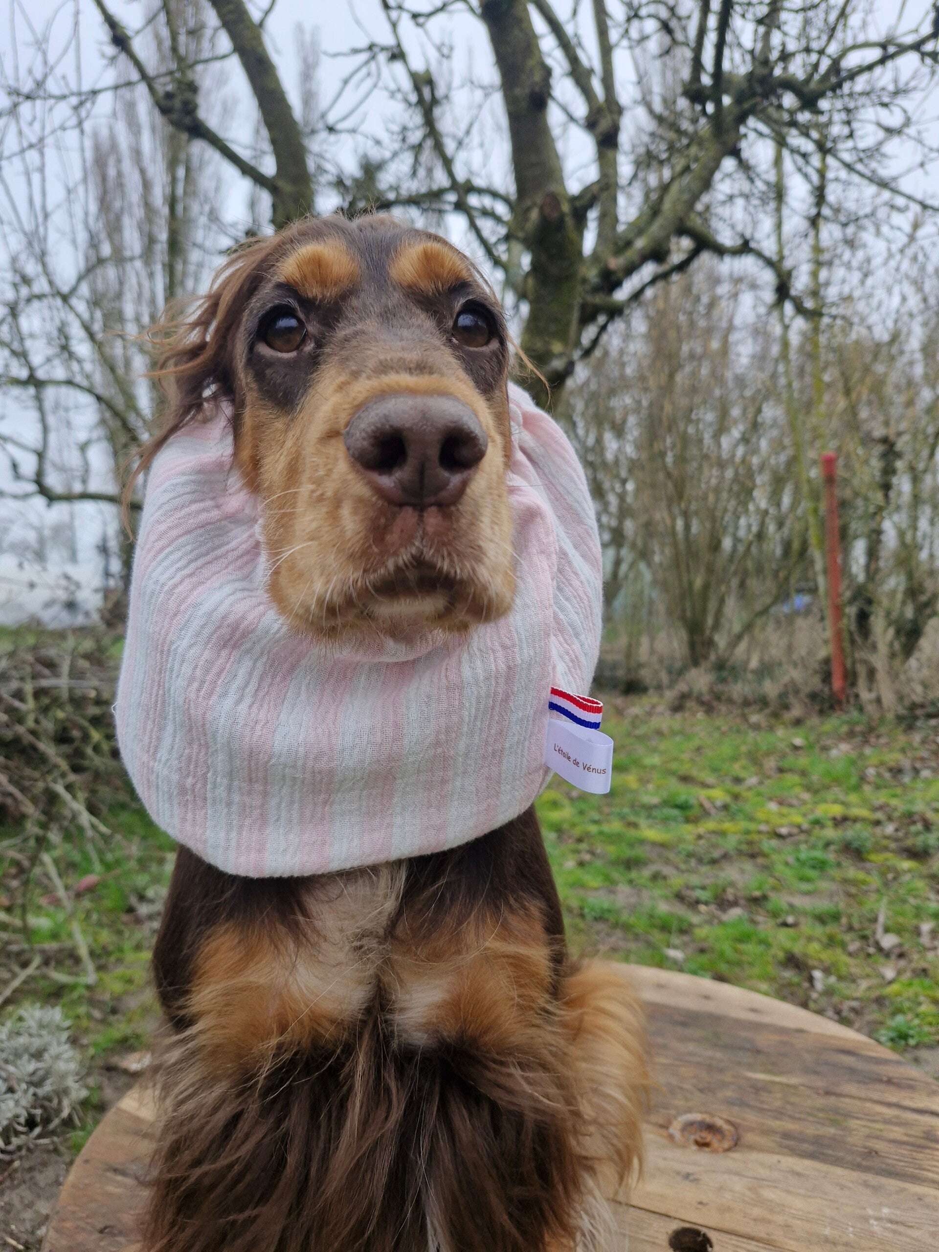 Snood en double gaze de coton 🩷